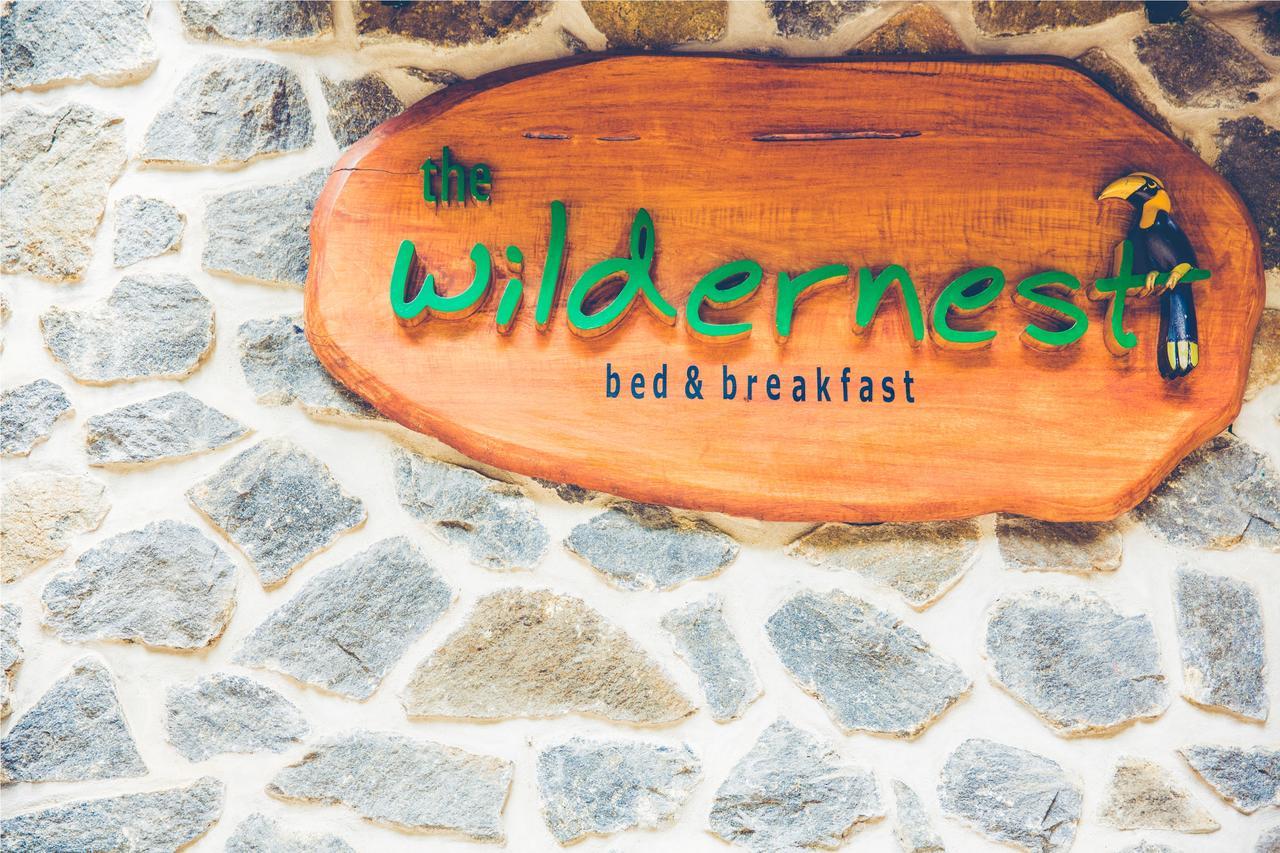 Bed and Breakfast Wildernest Теккаді Екстер'єр фото
